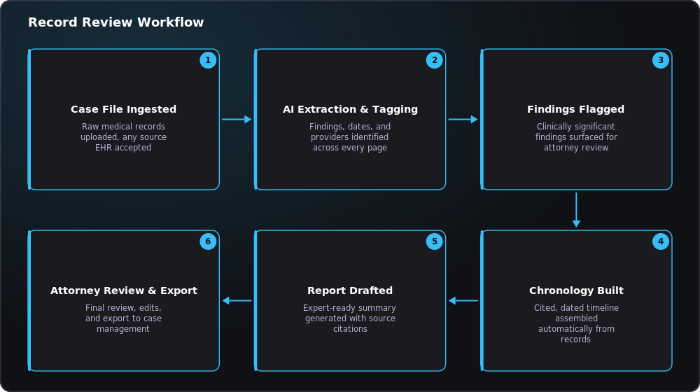 Case File to Cited Chronology, Record Review Workflow Diagram